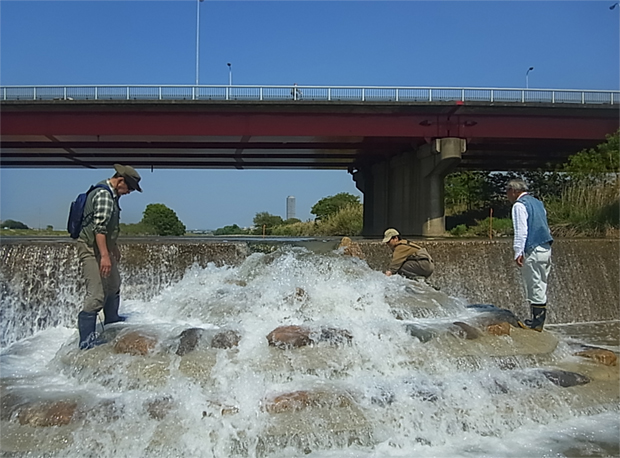 魚道管理