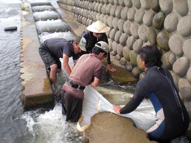 魚道管理