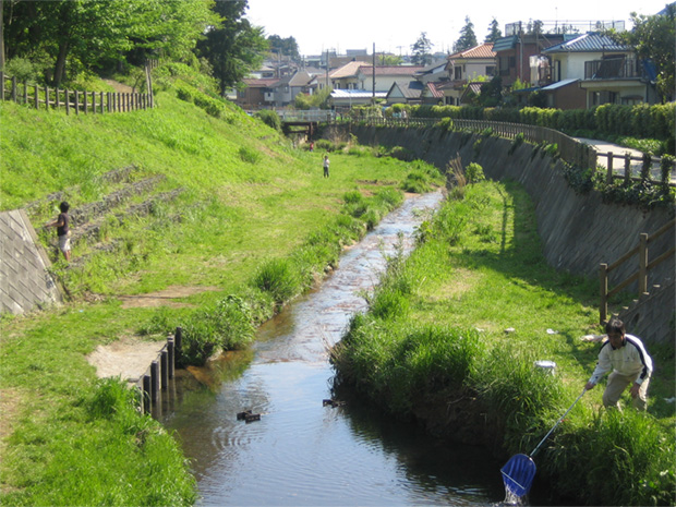 和泉川