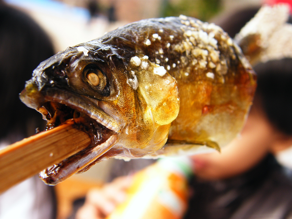 食欲の秋、鮎の塩焼きを食べに行こう！「第３回　岐阜県焼き鮎味比べ交流会」開催