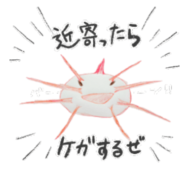 CWPオリジナルLINEスタンプできました！